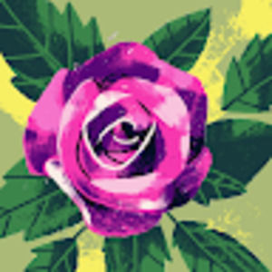 Meet your Posher, Des